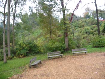 Benches by the Sawmill