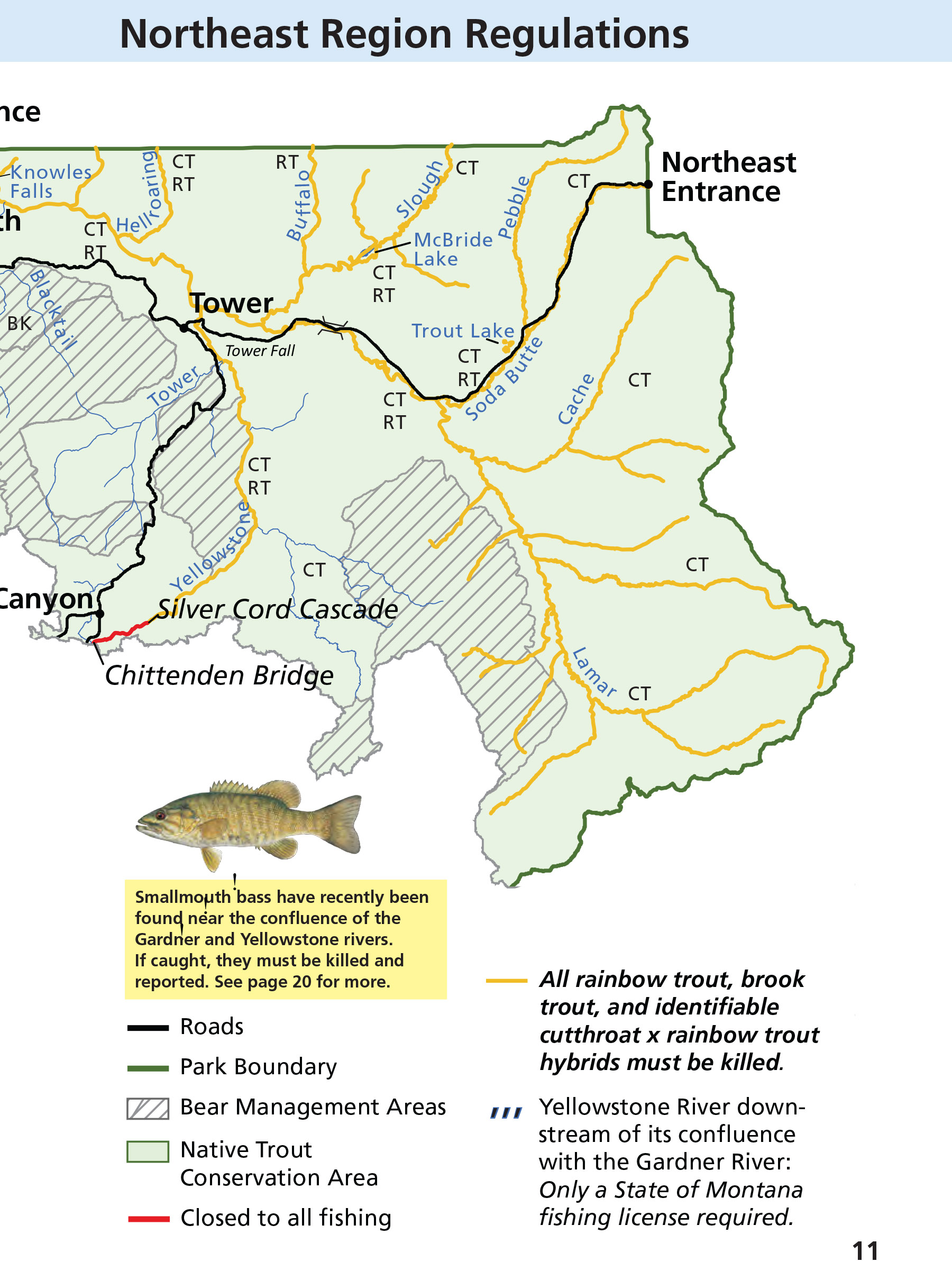 Yellowstone Fishing Regulations Page 11 - NPS Image
