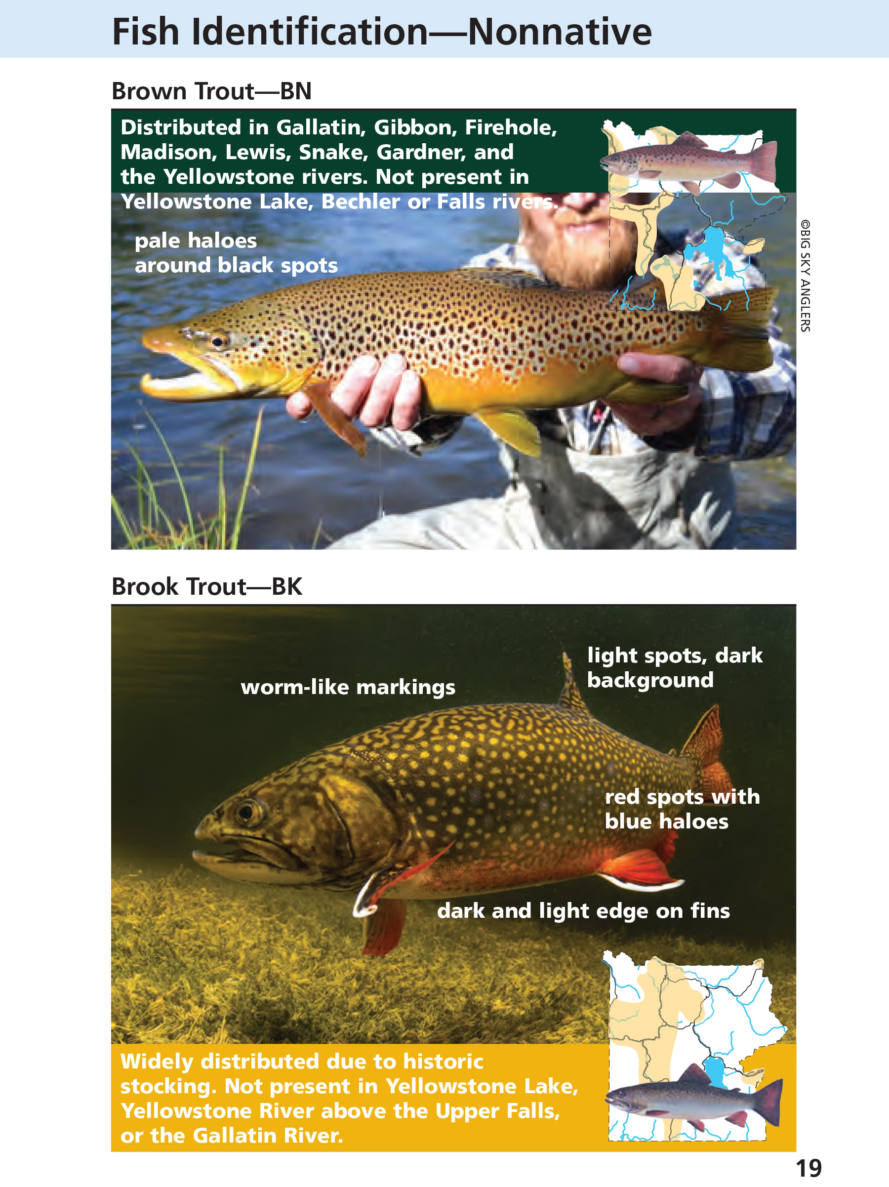 Yellowstone Fishing Regulations Page 19 - NPS Image