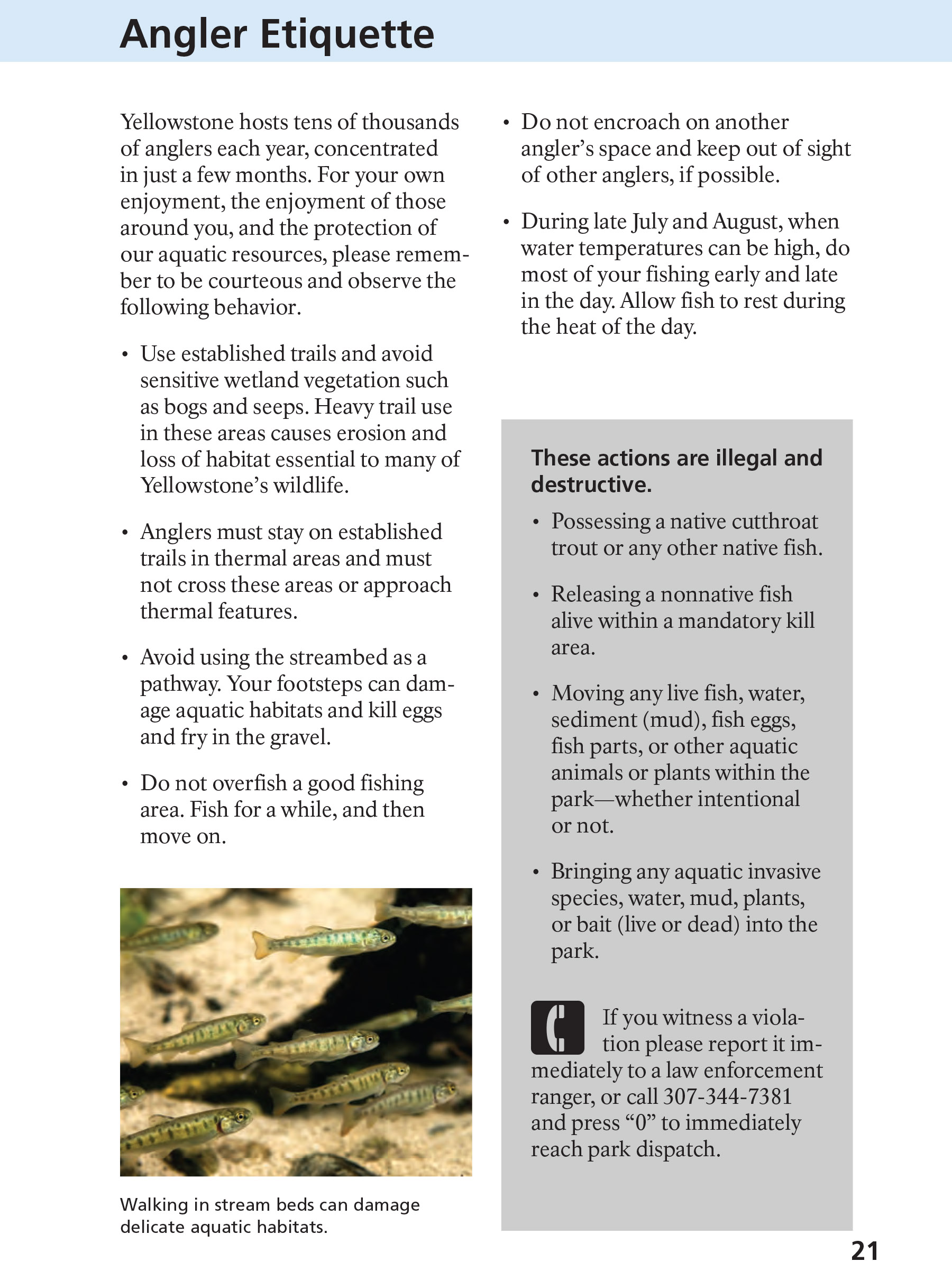 Yellowstone Fishing Regulations Page 21 - NPS Image