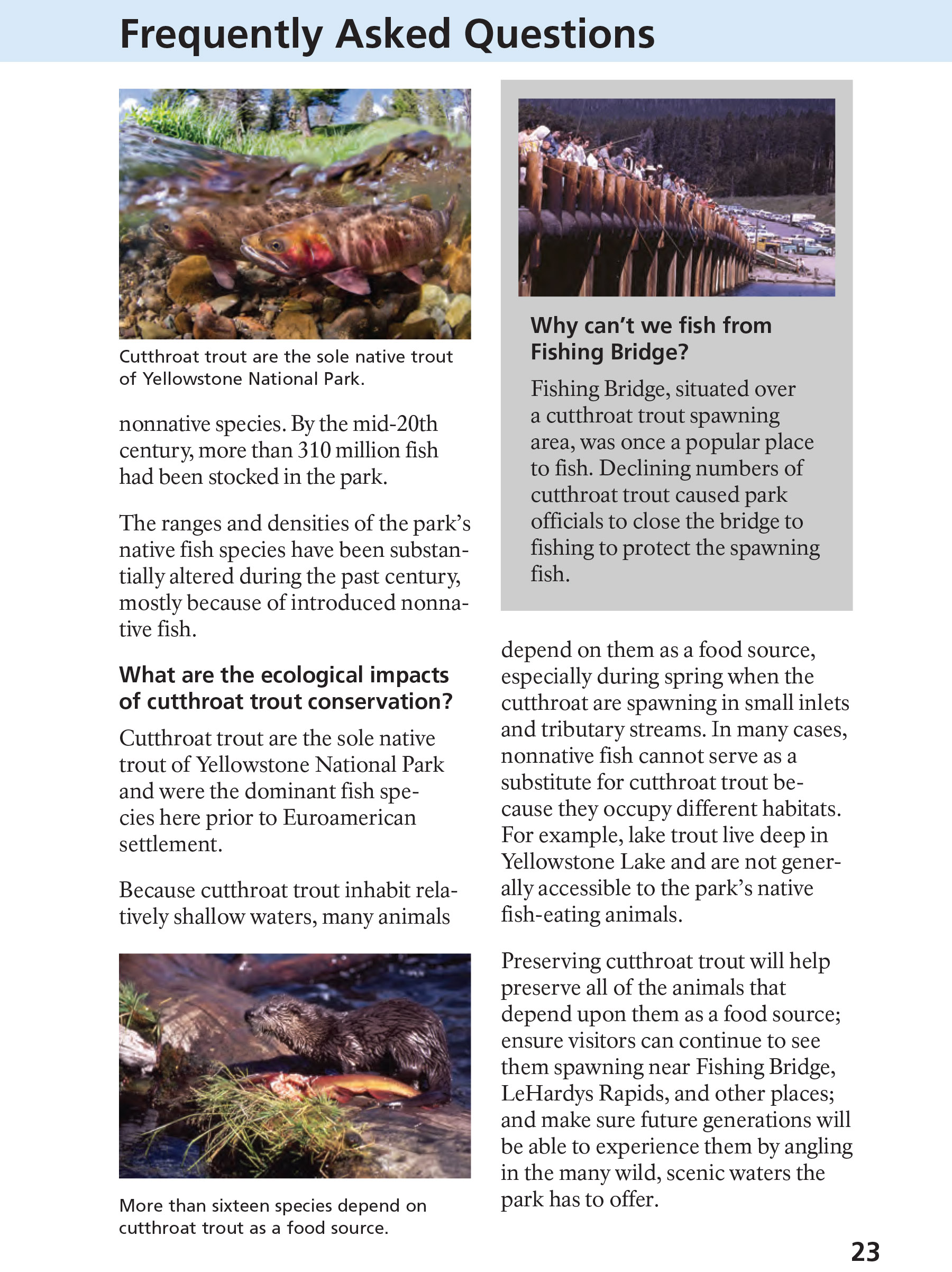 Yellowstone Fishing Regulations Page 23 - NPS Image