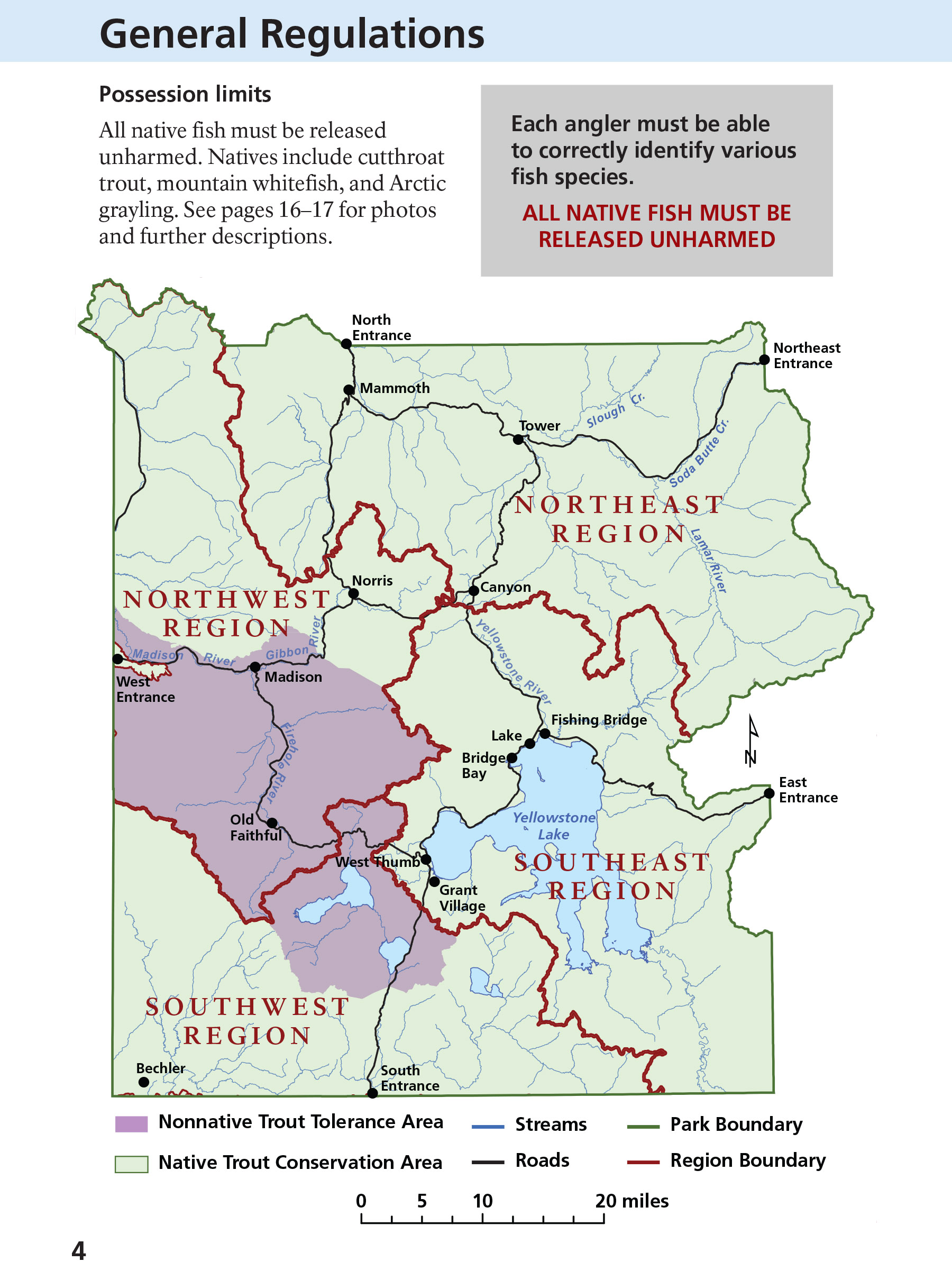 Yellowstone Fishing Regulations Page 4 - NPS Image