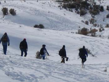 Slough Hikers - 29 Jan 2005 by John W. Uhler ©