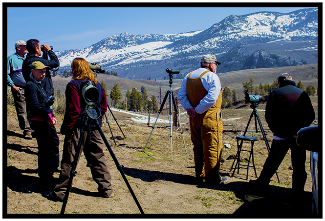 Wildlife Watchers Spring 2014 ~ © Copyright John William Uhler All Rights Reserved